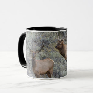 Caneca Alce macho Parque Nacional de Yellowstone, Wyomi