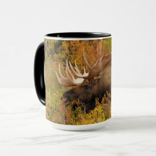 Caneca Alce Parque Nacional Denali, Alasca