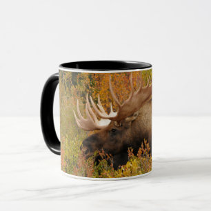 Caneca Alce Parque Nacional Denali, Alasca