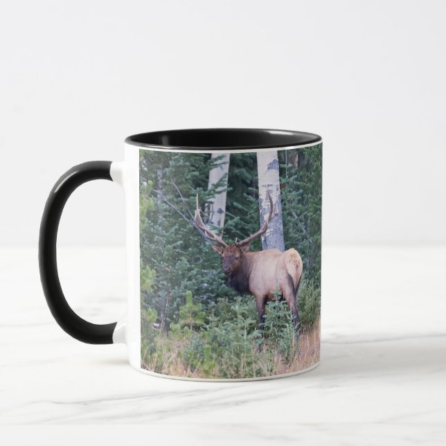 Caneca Alce-touro em montanhas do Colorado (Esquerda)