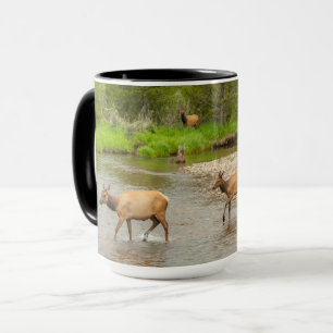Caneca Alces cruzando o rio Colorado