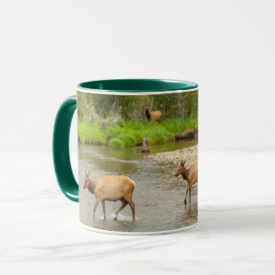 Caneca Alces cruzando o rio Colorado