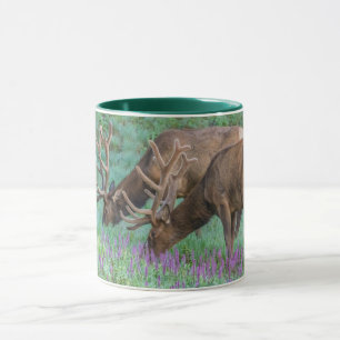 Caneca Alces machos Parque Nacional das Montanhas Rochosa
