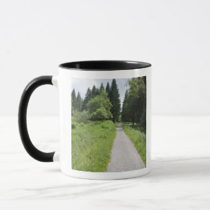Caneca Alemanha, Thuringia, trajeto na floresta