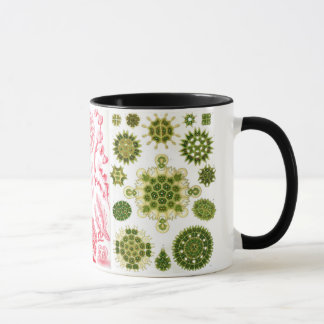 Caneca algas verdes, várias, haeckel