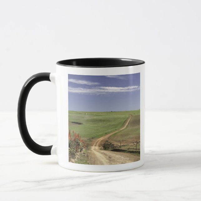 Caneca Aloés de florescência perto de Caledon, cabo (Esquerda)