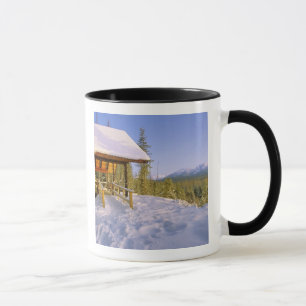 Caneca Aluguer da Cabana USFS Schnauss no Inverno com vis