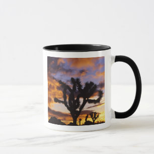 Caneca Amanhecer Espectacular no Parque Nacional Joshua T
