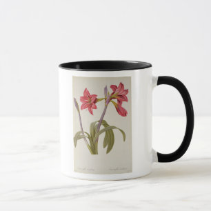 Caneca Amaryllis Brasiliensis