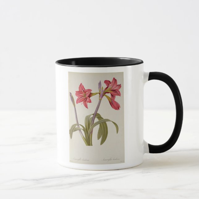 Caneca Amaryllis Brasiliensis (Direita)
