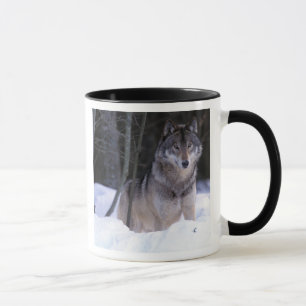Caneca América do Norte, Canadá, Canadá Oriental, Lobo ci