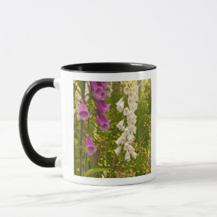 Caneca América do Norte, Canadá, Ilhas da Rainha Carlota,