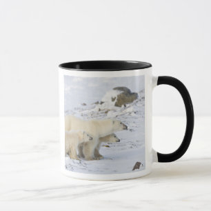 Caneca América do Norte, Canadá, Manitoba, Churchill