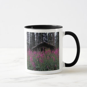 Caneca América do Norte, Canadá, Yukon. Caçadores abandon
