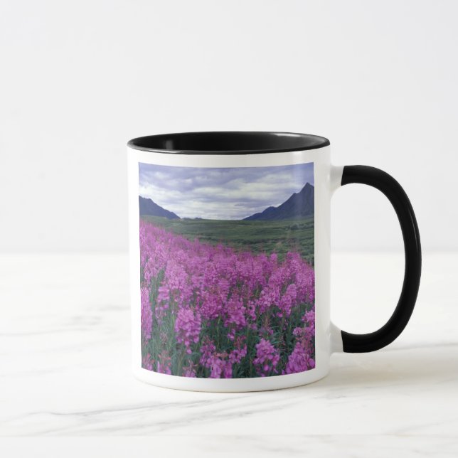 Caneca América do Norte, Canadá, Yukon. Fireweed floresce (Direita)