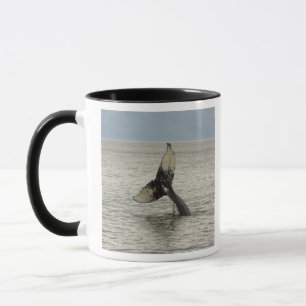 Caneca América do Norte, EUA, AK, Inside Passage. Jubarte
