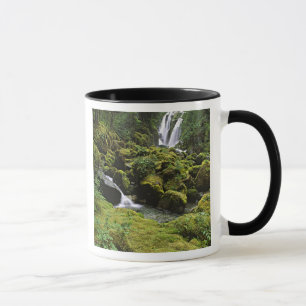 Caneca América do Norte, EUA, Alasca. Uma cachoeira e