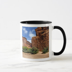 Caneca América do Norte, EUA, Arizona, Navajo Indian 5