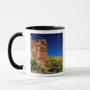 Caneca América do Norte, EUA, Arizona, Navajo Indiano 3