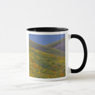 Caneca América do Norte, EUA, Califórnia, Los Angeles