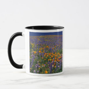 Caneca América do Norte, EUA, Califórnia, Los Angeles 2