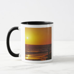 Caneca América do Norte, EUA, Flórida, Ilha Sanibel.