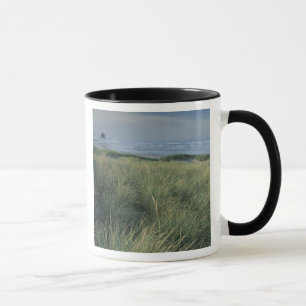 Caneca América do Norte, EUA, Oregon, Canon Beach,
