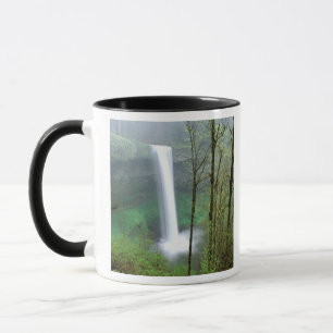 Caneca América do Norte, EUA, Oregon, Silver Falls State