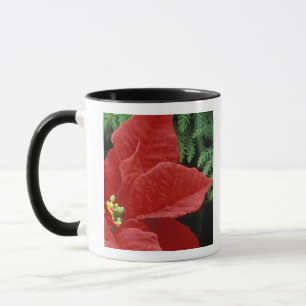 Caneca América do Norte, EUA, WA, Woodinville, Vermelho