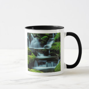 Caneca América do Norte; EUA; Washington, Cachoeira Sol D