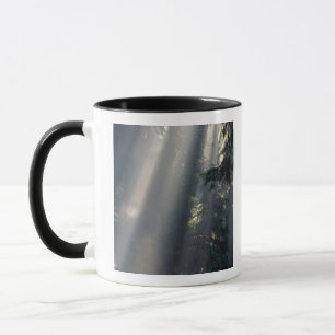 Caneca América do Norte, EUA, Washington, Parque Nacional