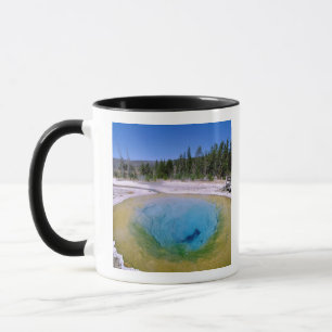 Caneca América do Norte, EUA, Wyoming, Yellowstone 2