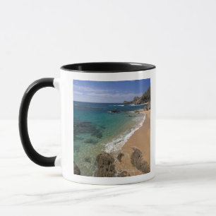 Caneca América do Norte, México, Baja California Sur,