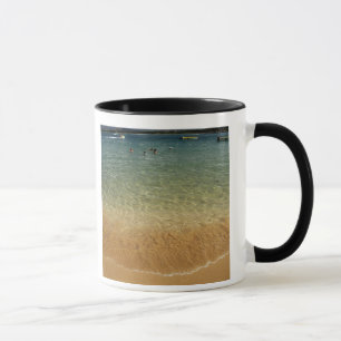 Caneca América do Norte, México, Estado de Guerrero, Ixta