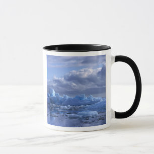 Caneca América do Sul, Chile, Parque Nacional Laguna San