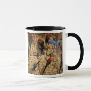 Caneca América do Sul, Peru, Parque Nacional Manu,