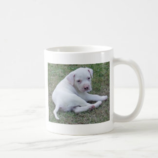 Caneca americana do filhote de cachorro do