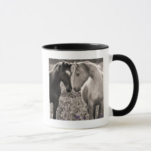 Caneca Amor do cavalo