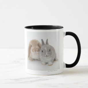 Caneca Anão dois Netherland e coelhos de Holland Lop