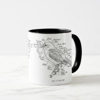 anatomia das aves