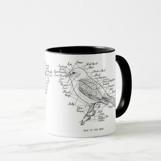 Caneca anatomia das aves