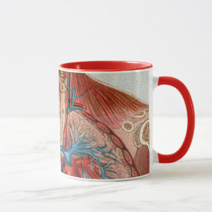 Caneca Anatomia do corpo humano