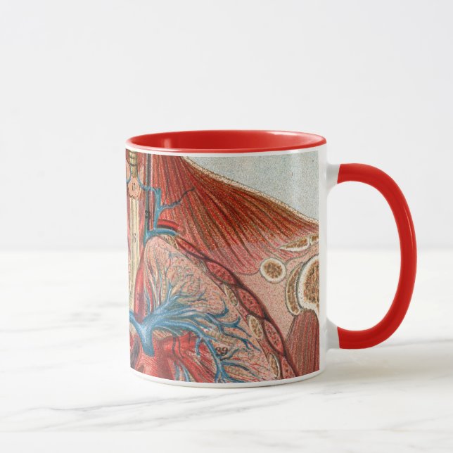Caneca Anatomia do corpo humano (Direita)