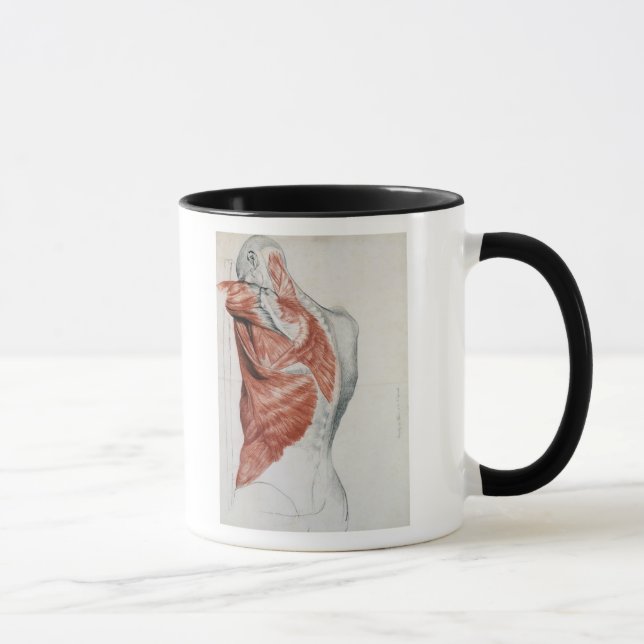Caneca Anatomia humana; Músculos do torso e do ombro (Direita)