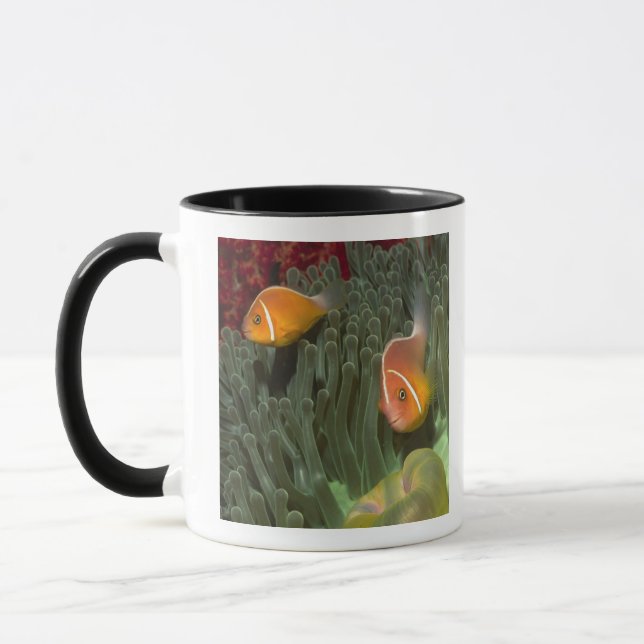 Caneca Anemonefish cor-de-rosa na anêmona de mar de (Esquerda)
