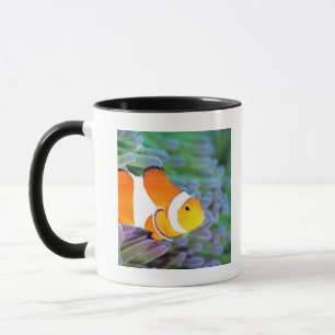 Caneca Anemonefish do palhaço