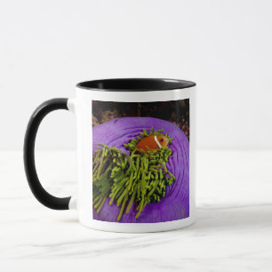 Caneca Anemonefish e grande anêmona