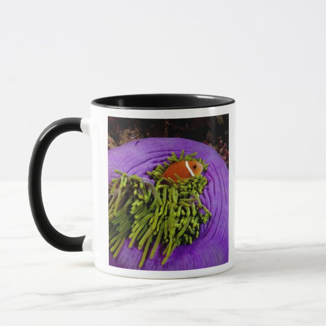 Caneca Anemonefish e grande anêmona (Esquerda)