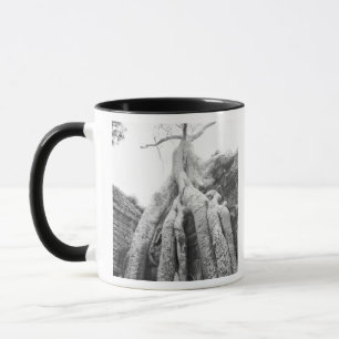 Caneca Angkor Camboja, Árvore Ta Prohm