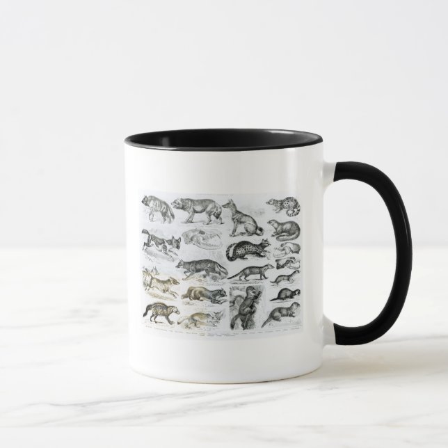 Caneca Animais carnívoros (Direita)